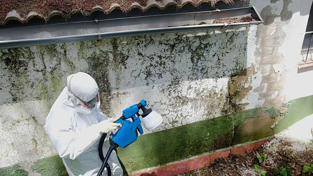 Top rated local Mold Remediation specialists in Urbanna, VA